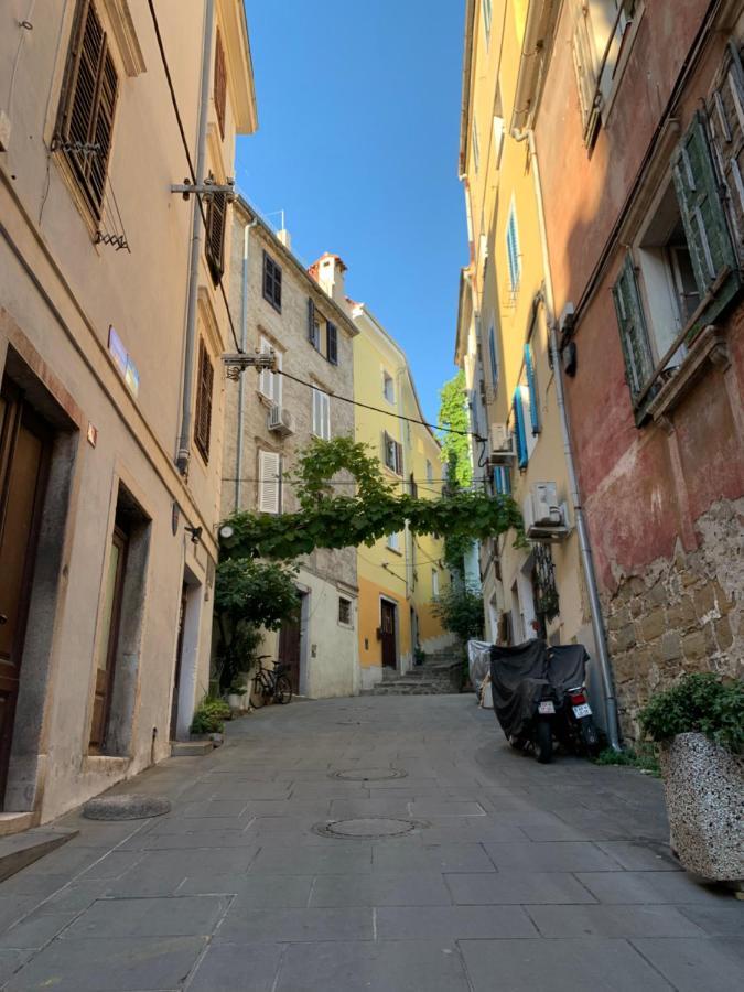 Veneziana Apartment 皮兰 外观 照片